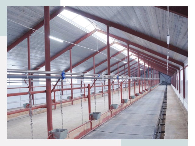 Строительство коровников в Новодвинске от 614 руб.