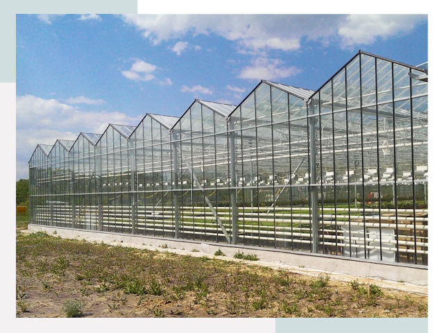 Строительство теплиц в Новодвинск от 614 руб. за м²